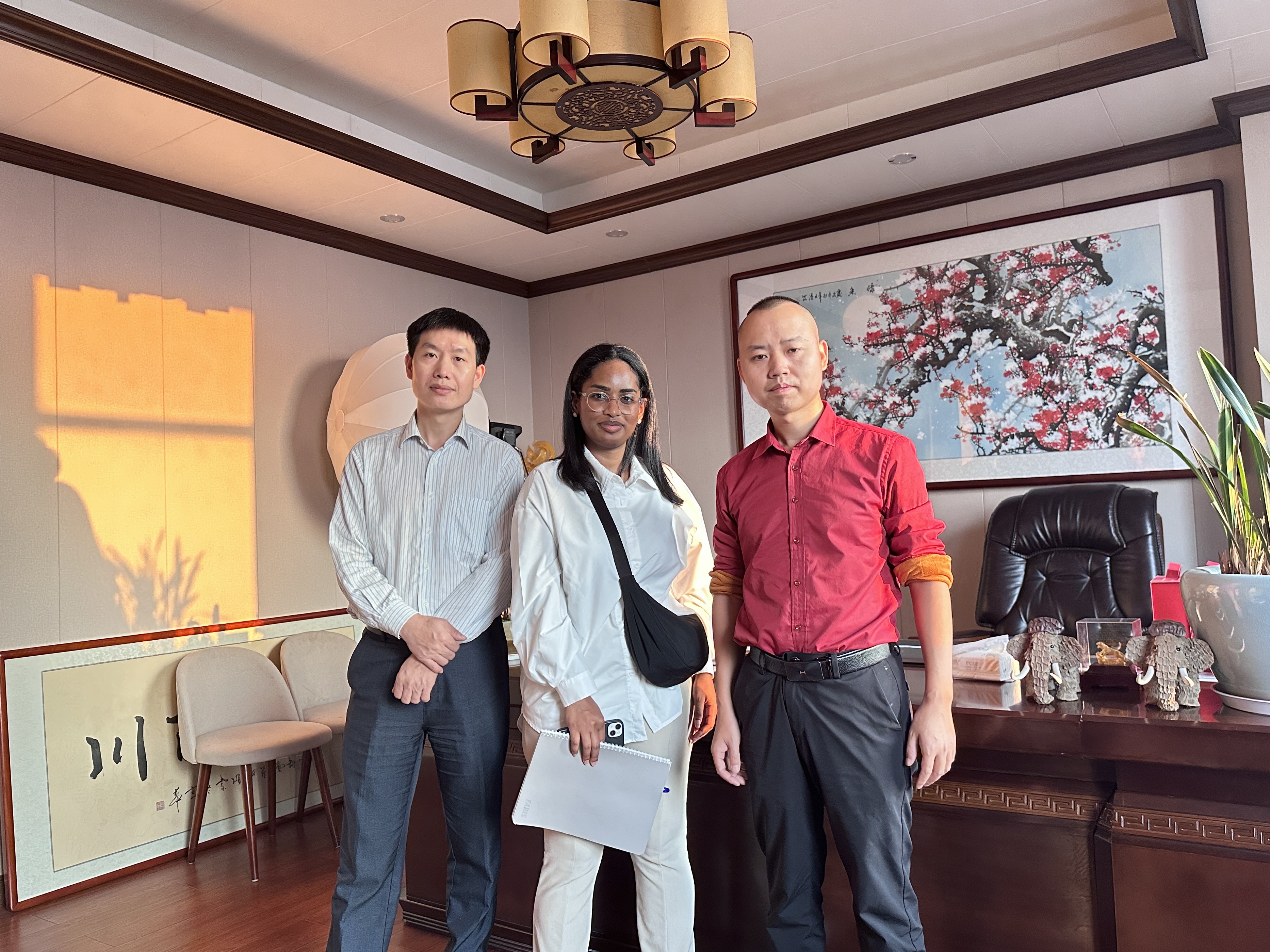 轻钢别墅出口比利时全流程指南